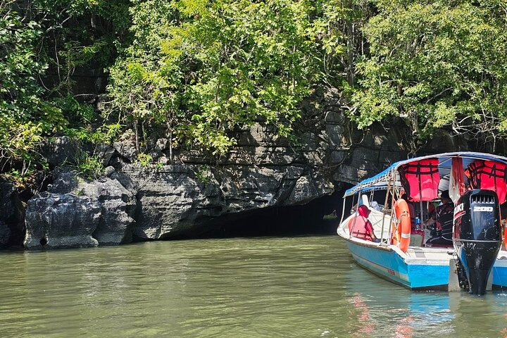 Langkawi Mangrove Tour
